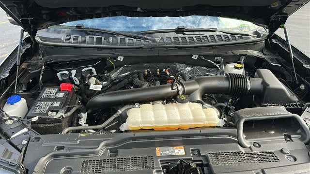 2025 Ford Expedition Active 202A/ROOF