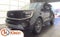 2025 Ford Expedition Platinum ROOF/BUCKETS