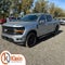 2025 Ford F-150 XLT BLACK APPEARANCE