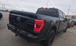 2023 Ford F-150 XL BLACK APPEARANCE PACKAGE/TOW PACKAGE