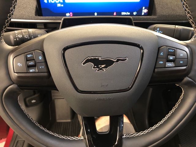 2025 Ford Mustang Mach-E GT PERFORMANCE PACKAGE/ROOF